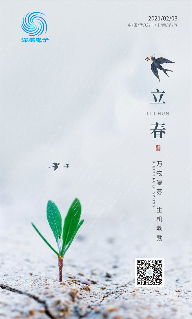 今日立春万物复苏静待花开