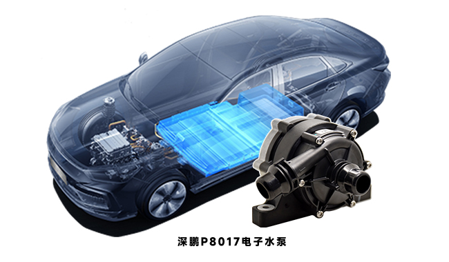 P8017汽车电子水泵.jpg
