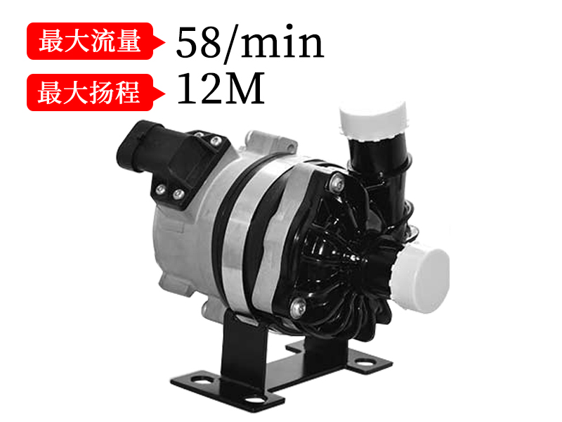 P8002汽车电子泵(13.5v/24v)