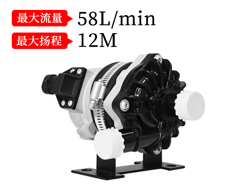 P8001汽车电子泵(13.5v/24v)
