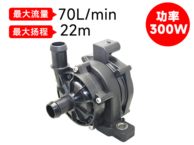 P8018汽车电子泵(12v)