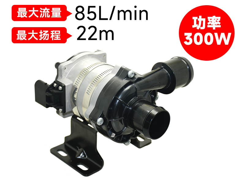 P7509汽车电子泵(24V)