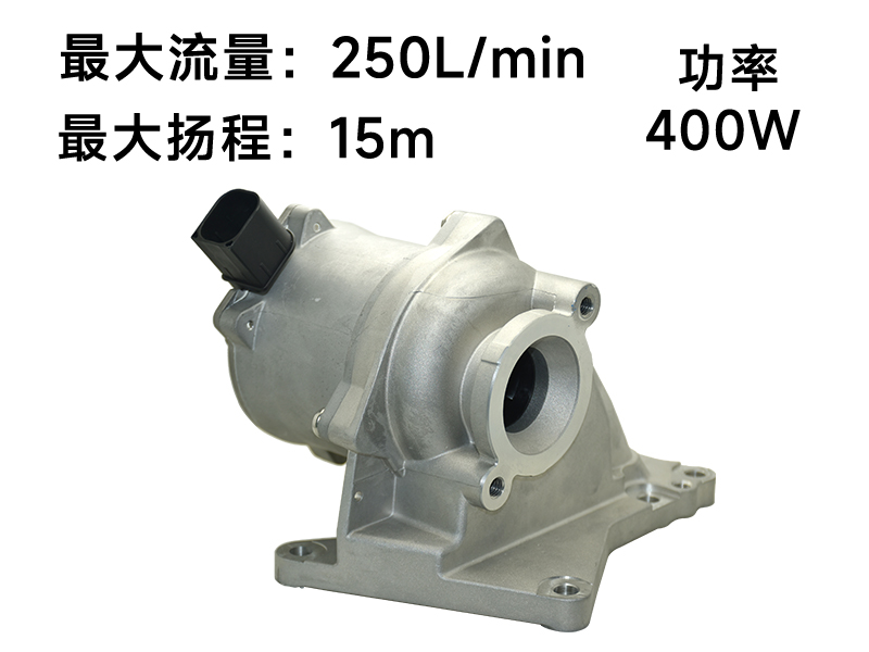 P9009发动机水泵(12v)