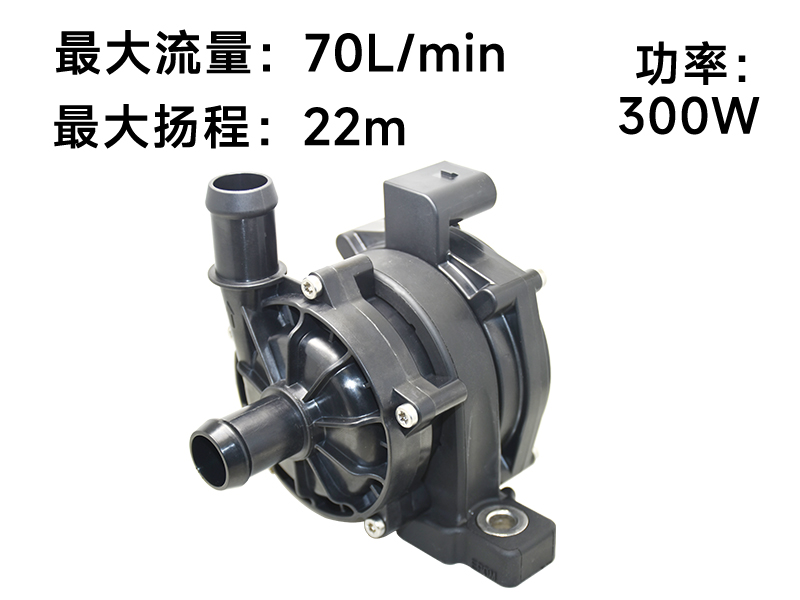 P8018汽车电子泵(12v)