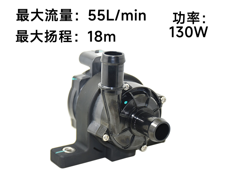 P6220汽车电子泵(12V)