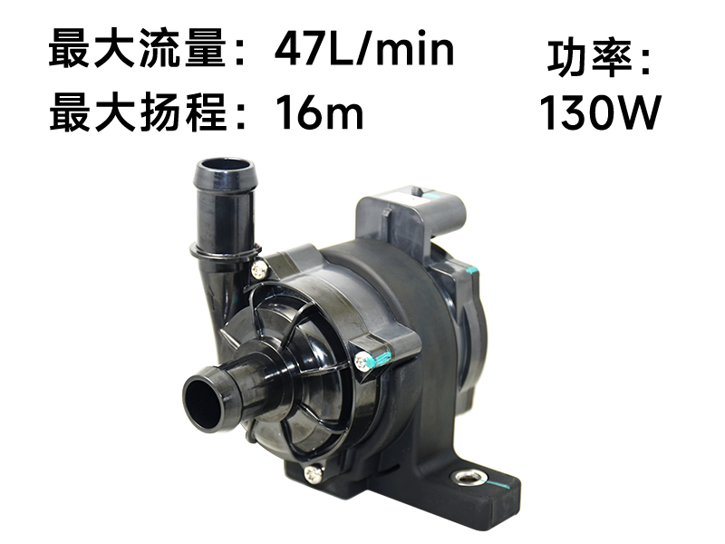 P6220汽车电子泵(24v)