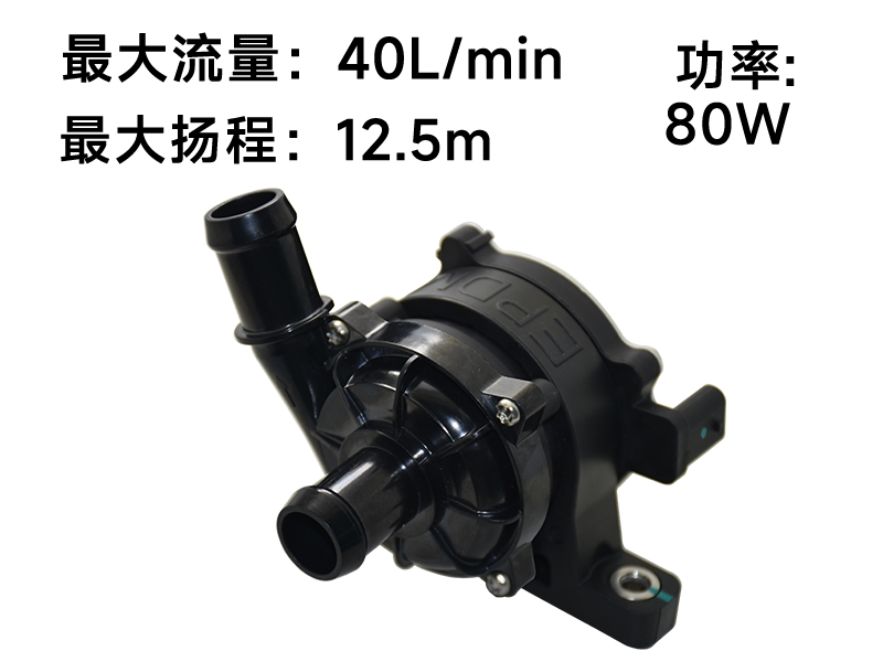 P6212汽车电子泵(12v)