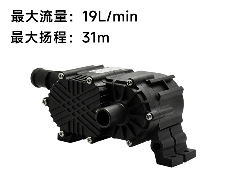 P6037冷水机循环泵(24v)