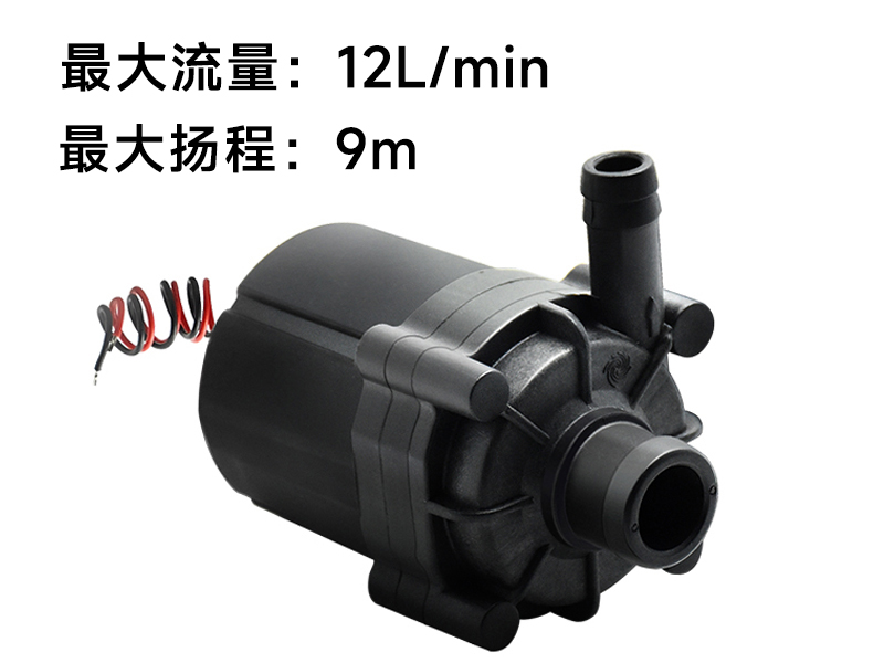 P4504冷水机循环泵(12v/24v)