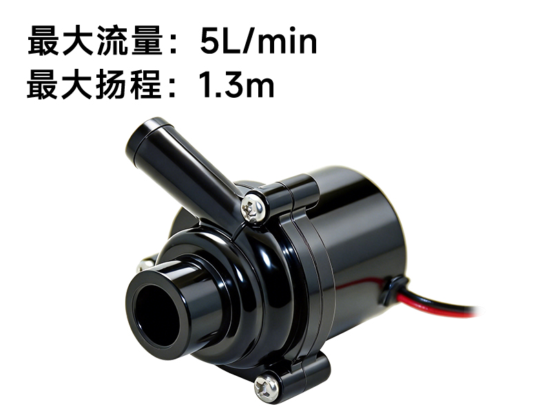 P3008水暖床垫水泵（12V）